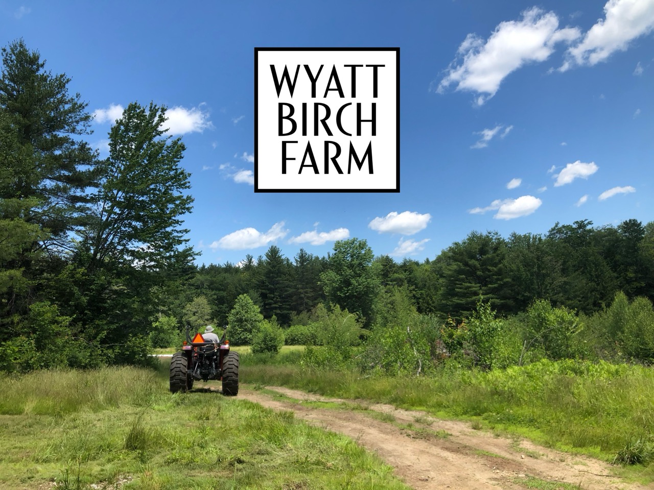 Wyatt Birch Farm Header - A tractor driving on a dirt path through a lush green field surrounded by trees under a bright blue sky with fluffy white clouds, showcasing rural life and farming activities.